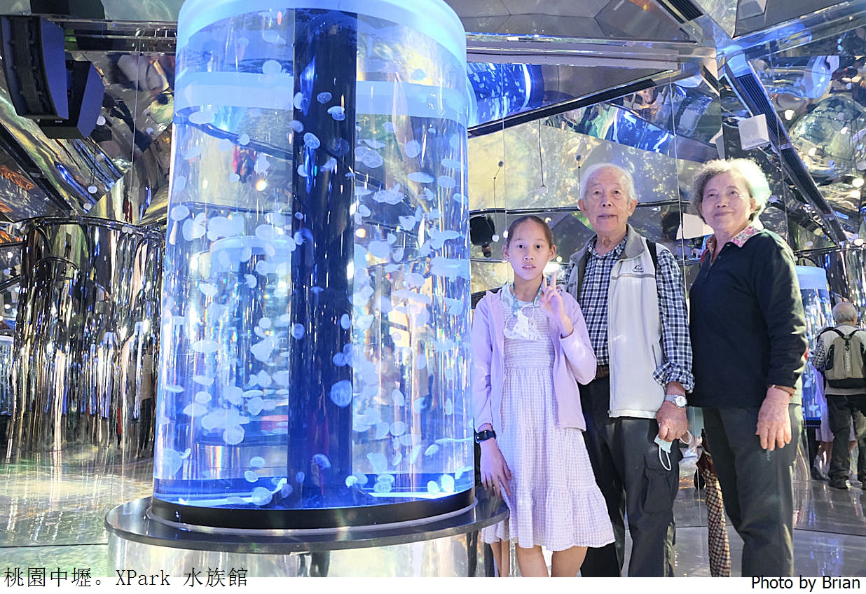 桃園親子景點青埔 XPark 水族館。桃園高鐵站旁都會型水族館 桃園親子景點青埔 XPark 水族館。桃園高鐵站旁都會型水族館