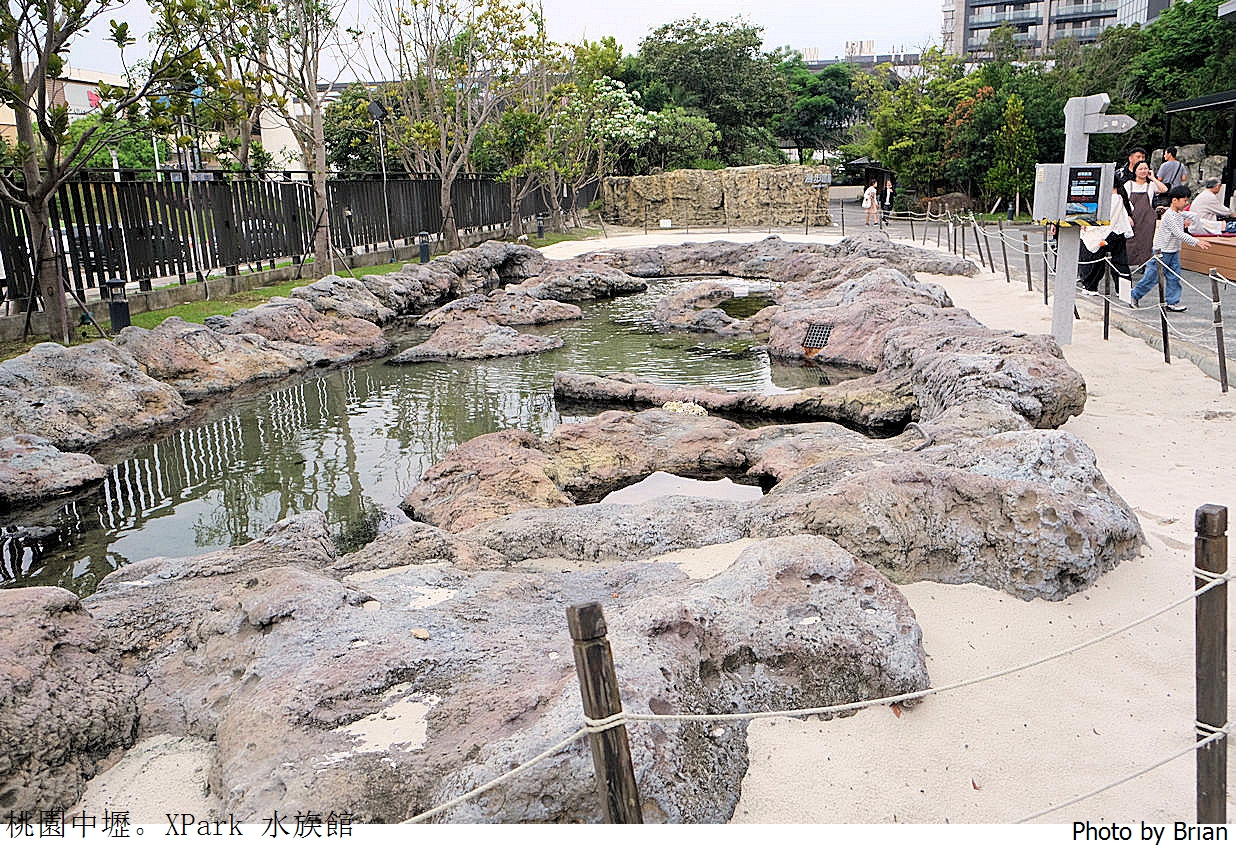 桃園親子景點青埔 XPark 水族館。桃園高鐵站旁都會型水族館 桃園親子景點青埔 XPark 水族館。桃園高鐵站旁都會型水族館