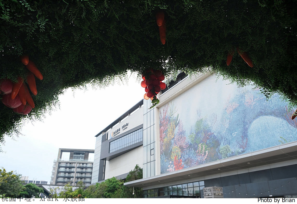 桃園親子景點青埔 XPark 水族館。桃園高鐵站旁都會型水族館 桃園親子景點青埔 XPark 水族館。桃園高鐵站旁都會型水族館